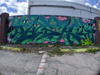 Tasko / Orlando / Walls