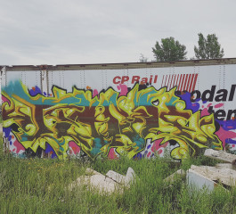 Tankwon / Winnipeg / Walls