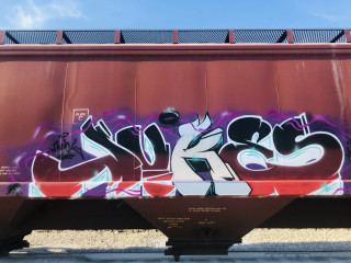 Jukes / Palm Beach / Freights