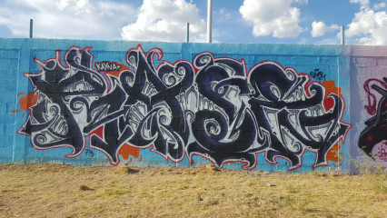 Rase / Chihuahua / Walls