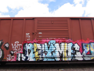 NZYME / Chicago / Freights