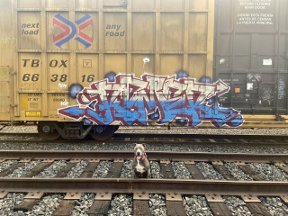 Romer / Los Angeles / Freights