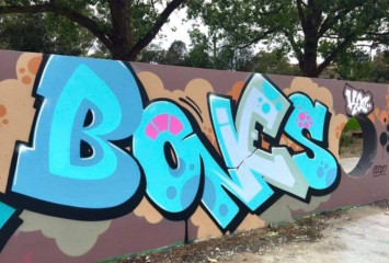 Bones / Sydney / Walls