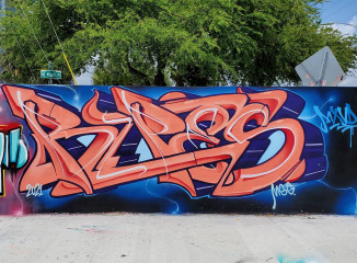 RIPES MSG / Miami / Walls
