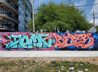 DOME & RIPES MSG / Miami / Walls