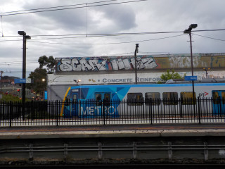 Scar / Melbourne / Walls