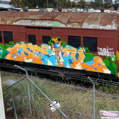 Deal / Sydney / Trains