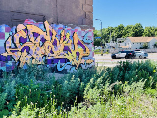 STALK / Minneapolis / Walls