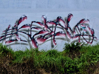 Kezam / Auckland / Walls