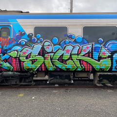 Sick / Melbourne / Trains