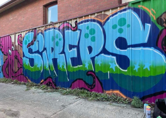 Sireps / Melbourne / Walls