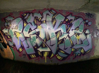 Eskie /TRC / San Diego / Walls