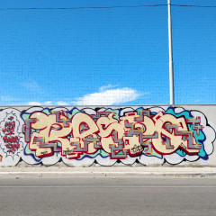 Respo Sativa / Bari / Walls