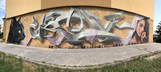 Grint_official / Košice / Walls
