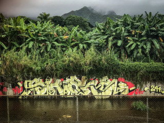 Shaka 24k / Honolulu / Walls