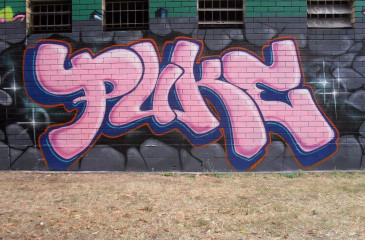 Puke / Newcastle / Walls