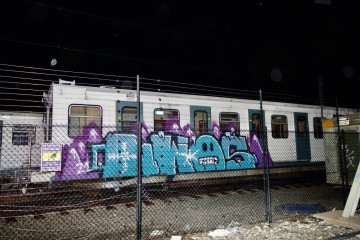 NWOS / Thredbo / Trains