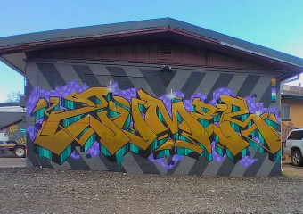 Zumer / Fort Collins / Walls