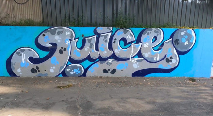 Juice / Adelaide / Walls
