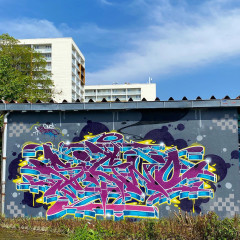 SIGNO / Caen / Walls