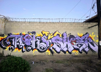 Tloko X Shoe / Los Angeles / Walls