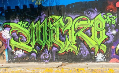 Micro TKO / Mexico City / Walls