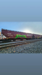ZAPRS / Bellingham / Freights