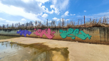 Zire / Walls