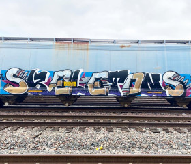 Skeletons / Freights