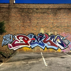 Relm1 / Walls