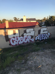 Cyber Aykop USC / Santa Maria, CA, US / Walls