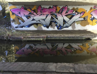 Rask / Birmingham / Walls