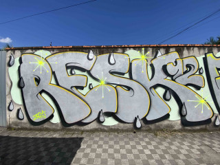 Resk12 / Walls