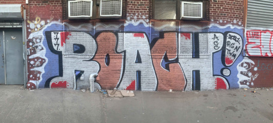 Roach / New York / Walls