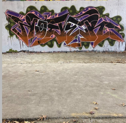 Roger / Boston / Walls
