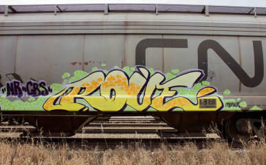 Rove / Freights