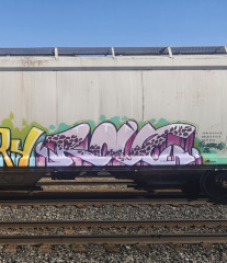 Rove / Freights