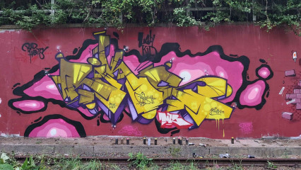 Ryck / Brussels / Walls