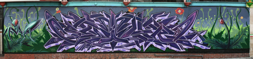 Satyr / San Francisco / Walls
