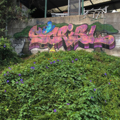 Scribl / Sydney / Walls