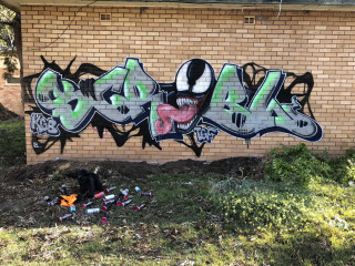 Scribl / Sydney / Walls