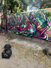 Sesm / Miami / Walls
