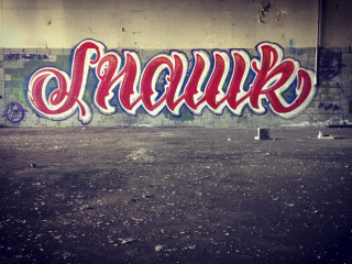 snok / Montreal / Walls