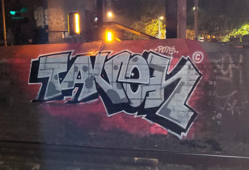 Taven210 / Sydney / Walls