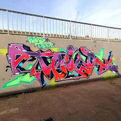 Teigr / Montpellier, FR / Walls