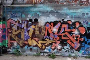 Shook / Toronto / Walls