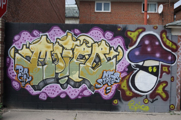 Moter / Toronto / Walls