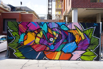 Cruz / Toronto / Walls
