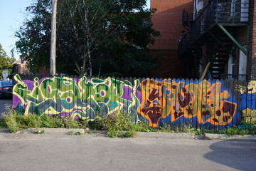 Gator / Toronto / Walls