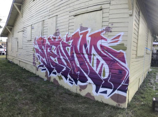 Venom / Miami / Walls